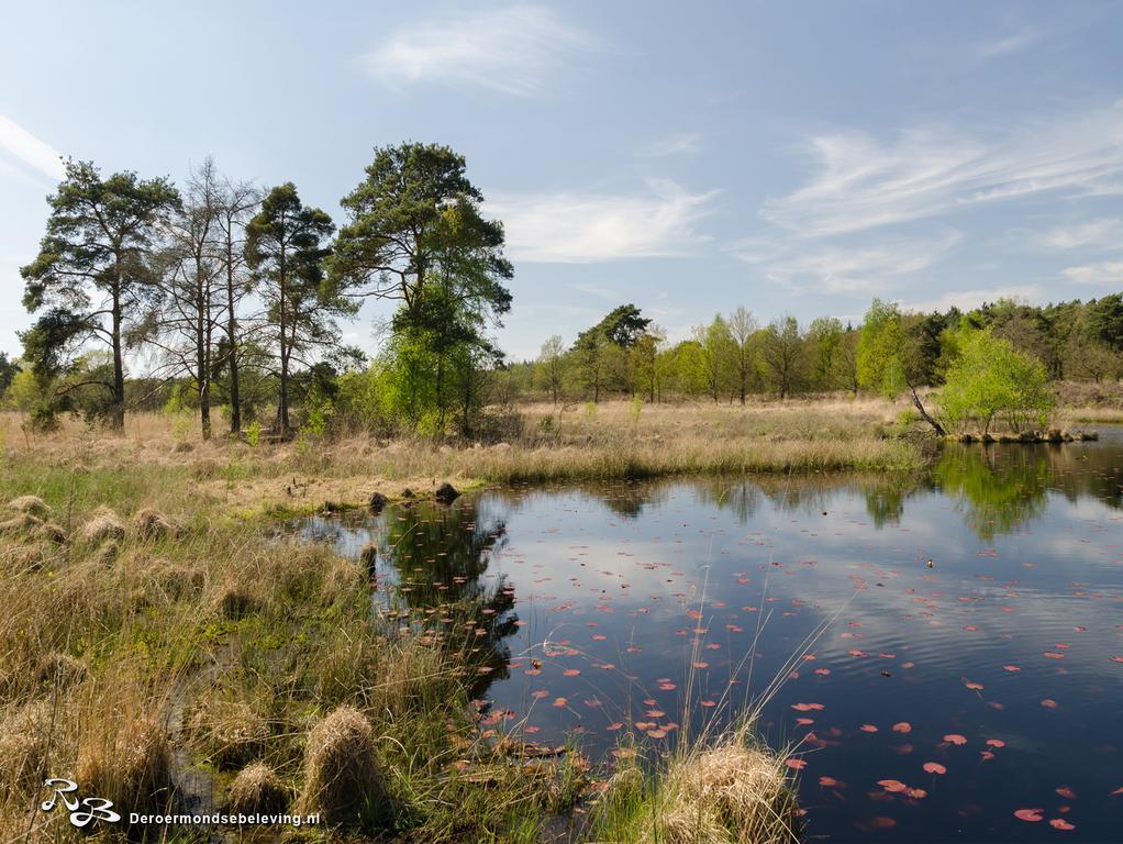 De Roermondse Beleving Bed and Breakfast Exteriör bild